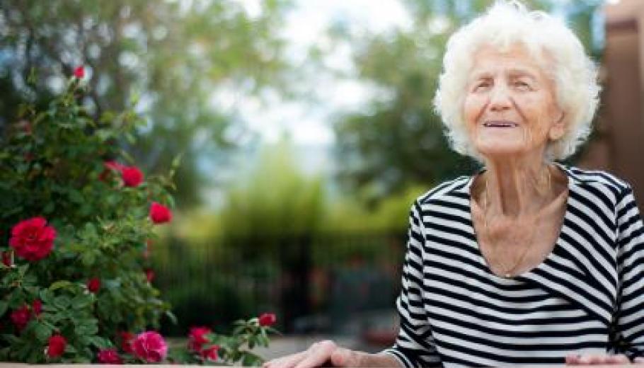 disponibles per la dependència 