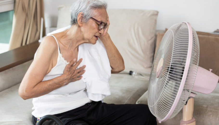 la calor i les persones grans