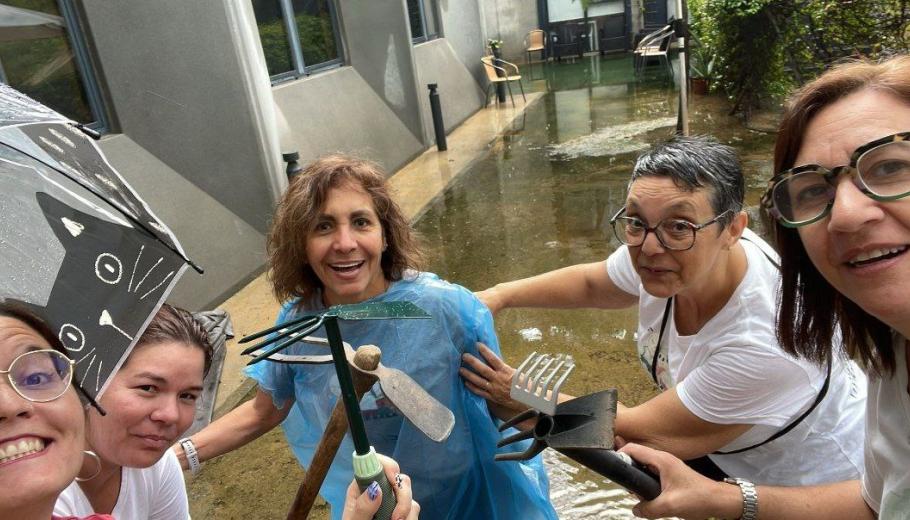 colonia güell Suara