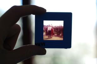  l’estimulació cognitiva